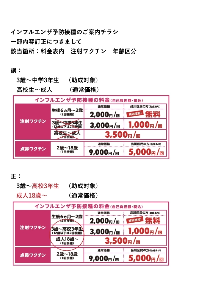 インフルエンザチラシ内容訂正_城南