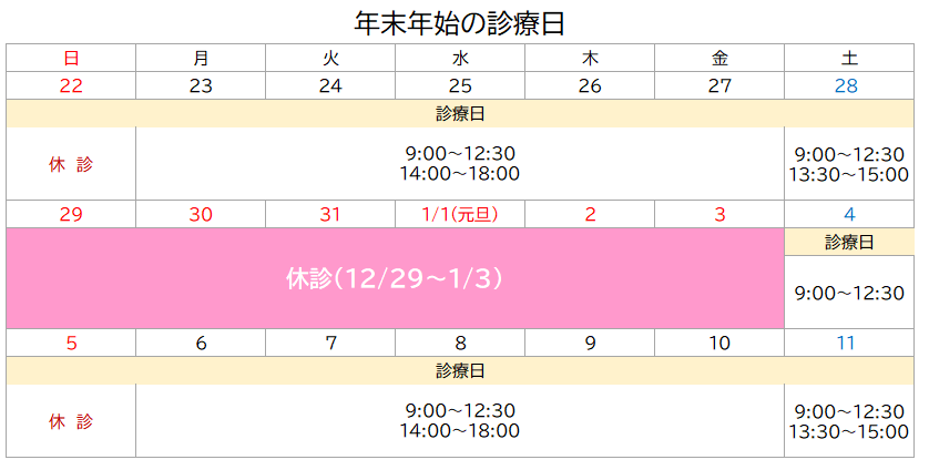 スクリーンショット 2024-12-20 193851